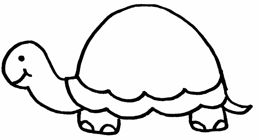 Coloriage Tortue Avec Une Carapace Sans Dessin - Animaux à imprimer