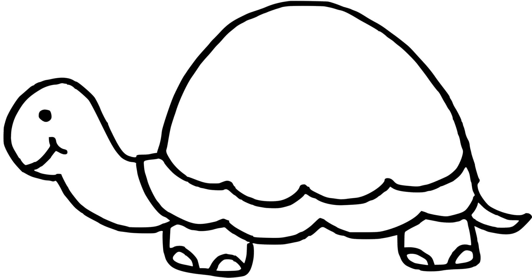 Coloriage Tortue Avec Une Carapace Sans Dessin - Tortue à imprimer