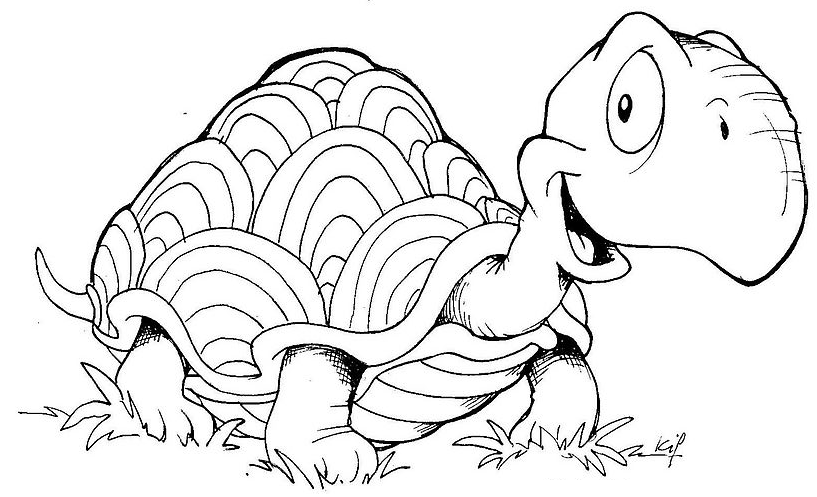 Coloriage Tortue Dans L'Herbe - Animaux à imprimer