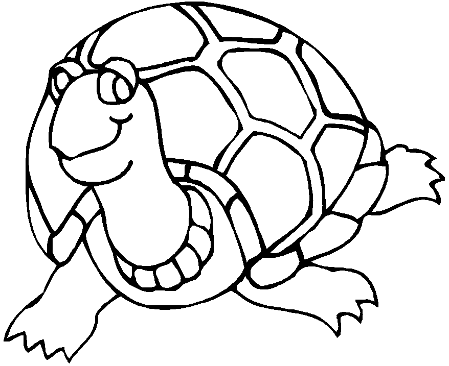 Coloriage Tortue De Face - Animaux à imprimer