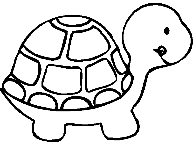 Coloriage Tortue De Profil - Animaux à imprimer