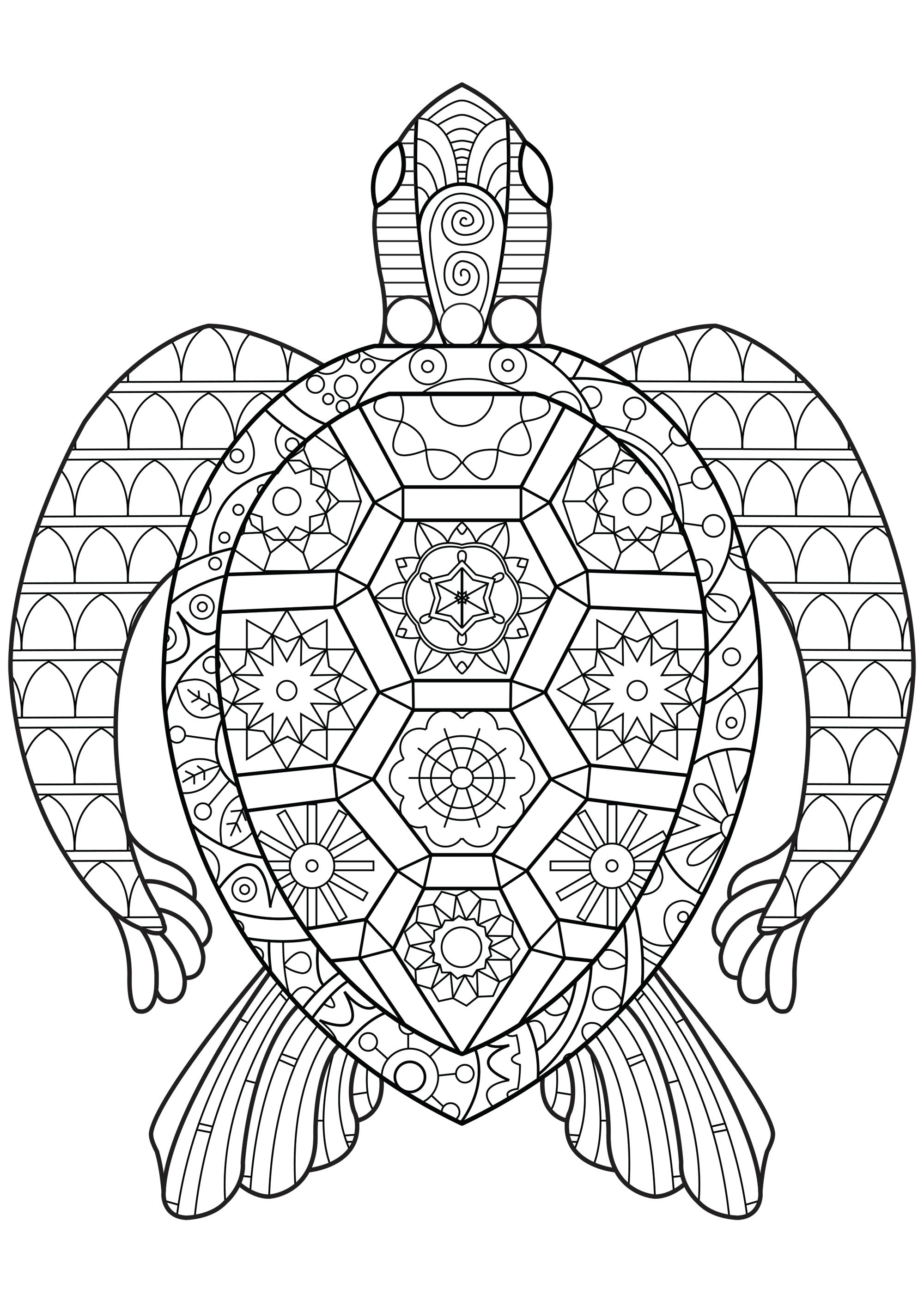 Coloriage Tortue Mandala Zentangle - Tortue à imprimer