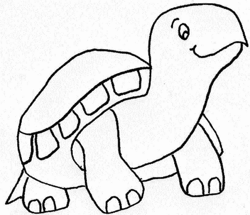 Coloriage Tortue - Animaux à imprimer
