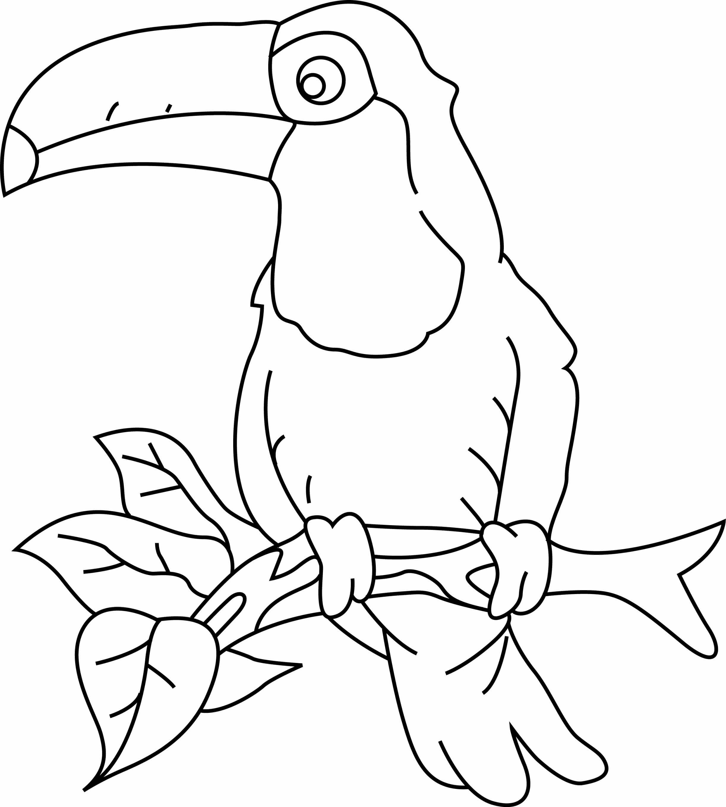 Coloriage Toucan Avec Un Bec Jaune Et Une Tache Noire - Toucan à imprimer