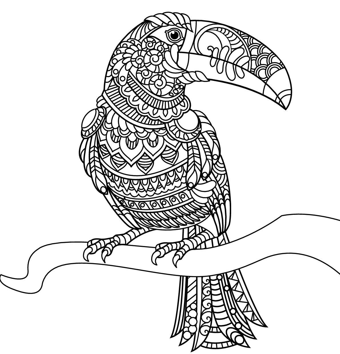 Coloriage Toucan Mandala Sur Une Branche Arbre - Oiseau à imprimer