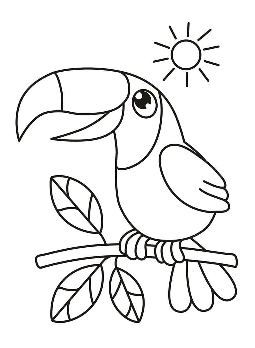 Coloriage Toucan Plumages Couleurs - Toucan à imprimer
