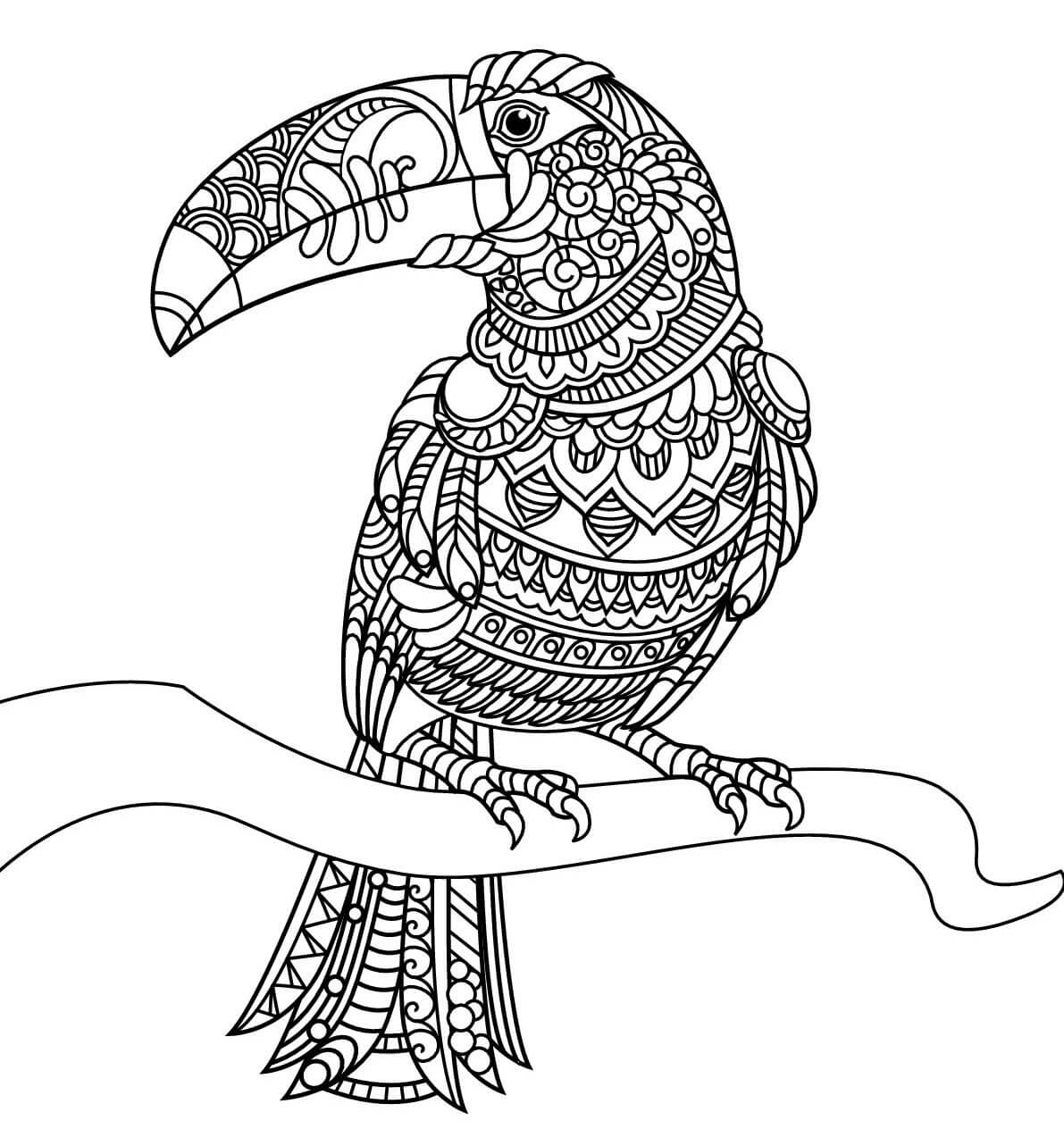 Coloriage Toucan Toco Mandala - Toucan à imprimer
