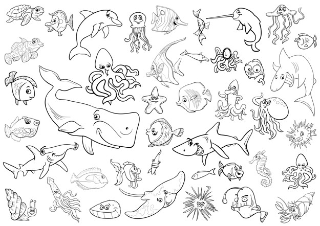 Coloriage Tous Les Animaux De La Mer Et Marin - Animaux de la mer à imprimer