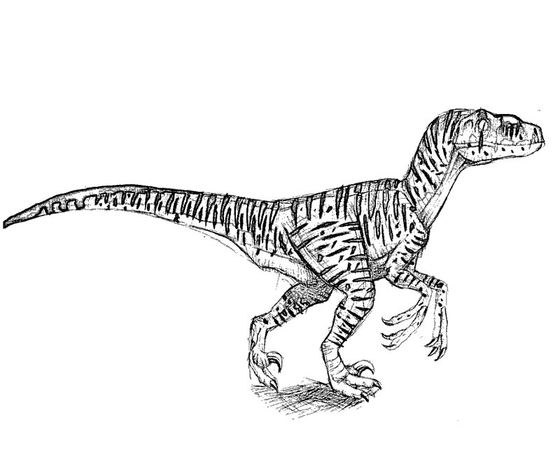 Coloriage Trex Jurassic Park Dinosaure - Jurassic world park à imprimer