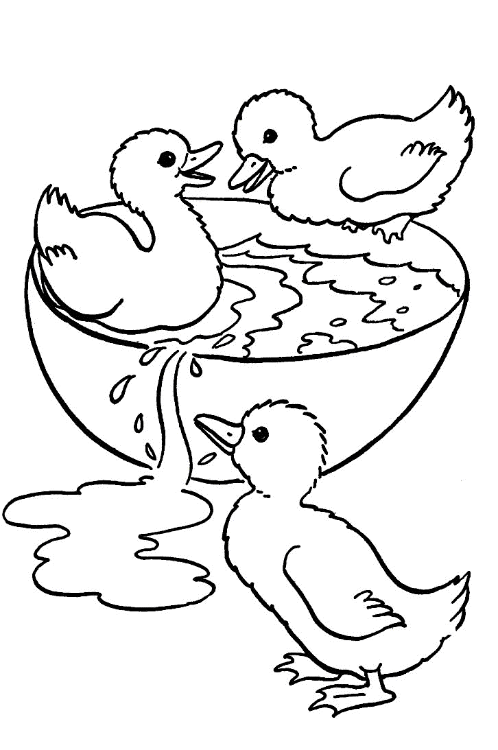 Coloriage Trois Bébés Canards - Animaux à imprimer