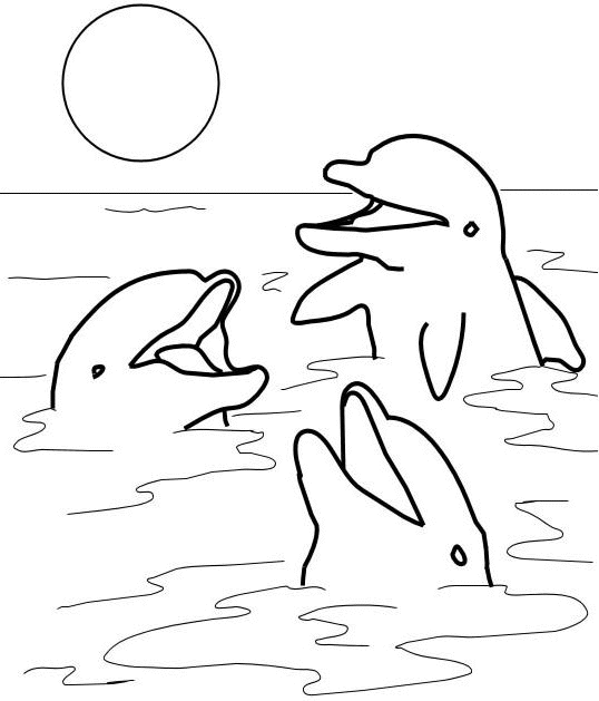 Coloriage Trois Dauphins Au Soleil - Animaux à imprimer
