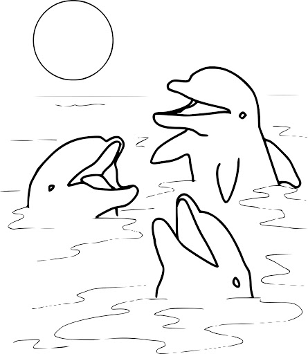 Coloriage Trois Dauphins Hors De L'eau Couche De Soleil - Dauphin à imprimer