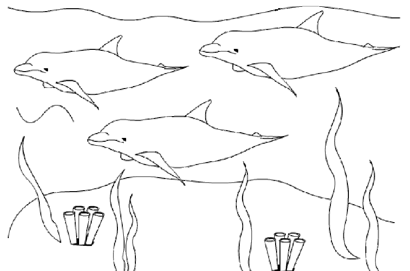 Coloriage Trois Dauphins Sous La Mer - Animaux à imprimer