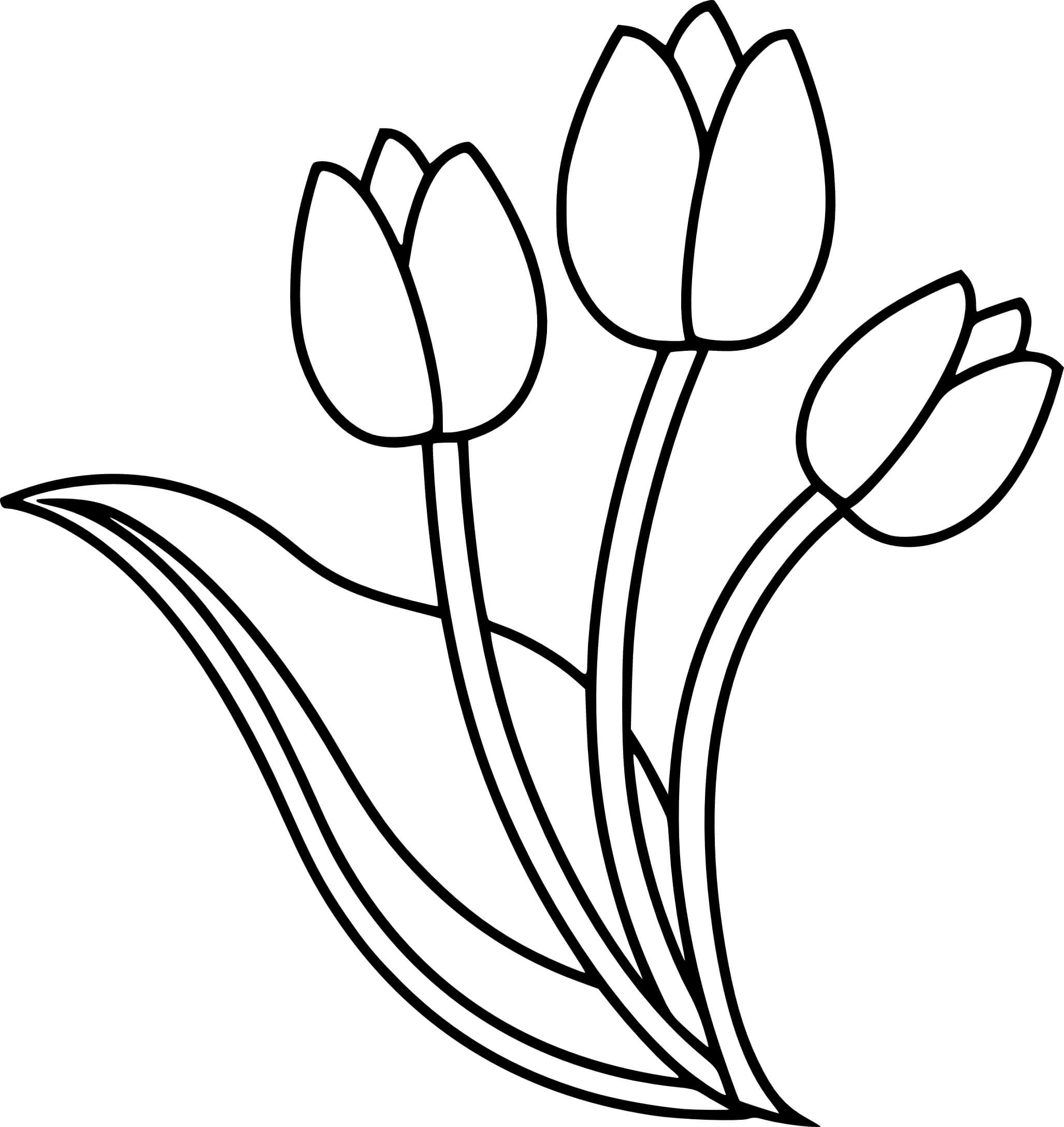 Coloriage Trois Fleurs Tulipes - Tulipe à imprimer