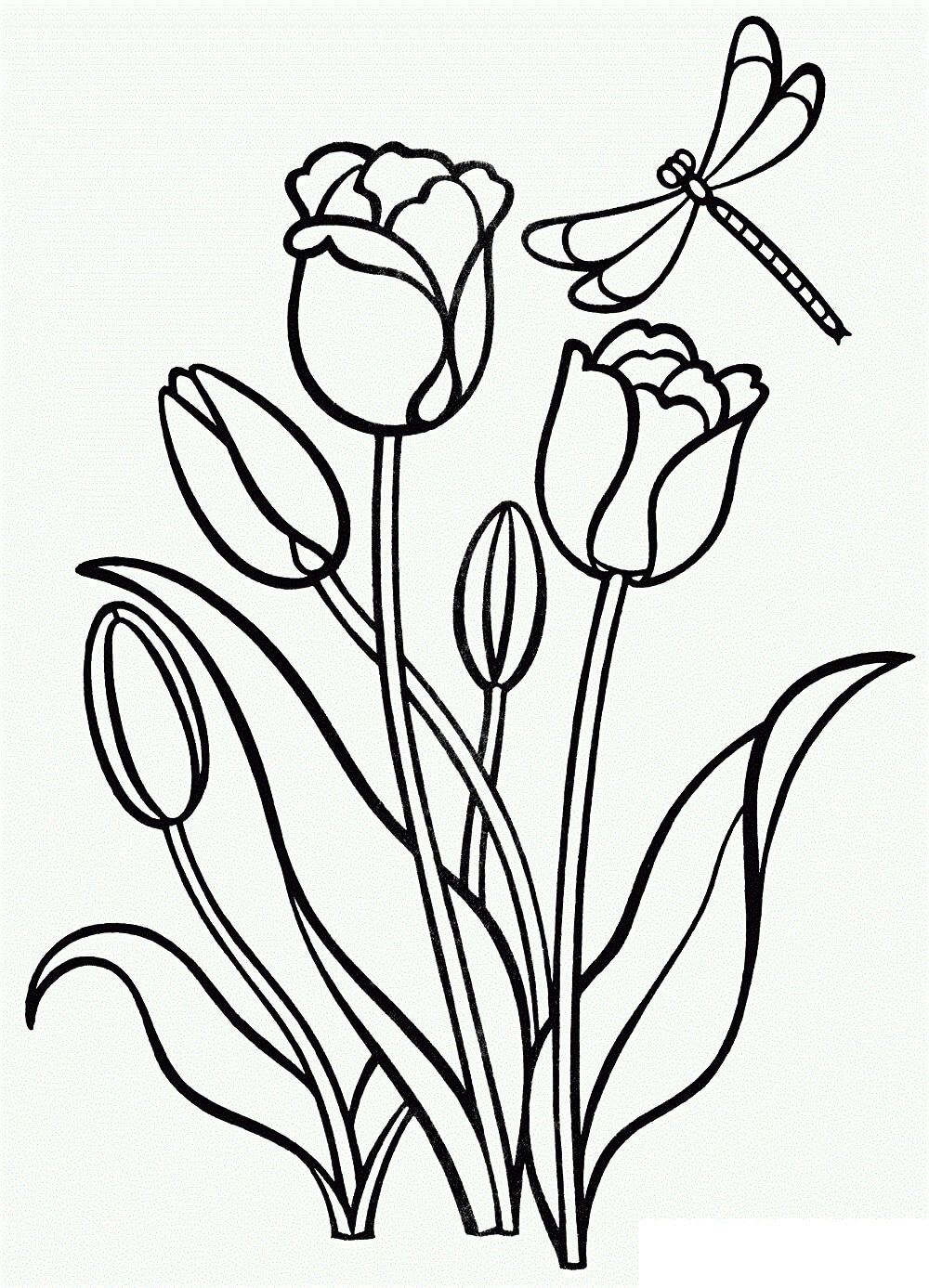 Coloriage Tulipe Clusiana en fleur - Tulipe à imprimer