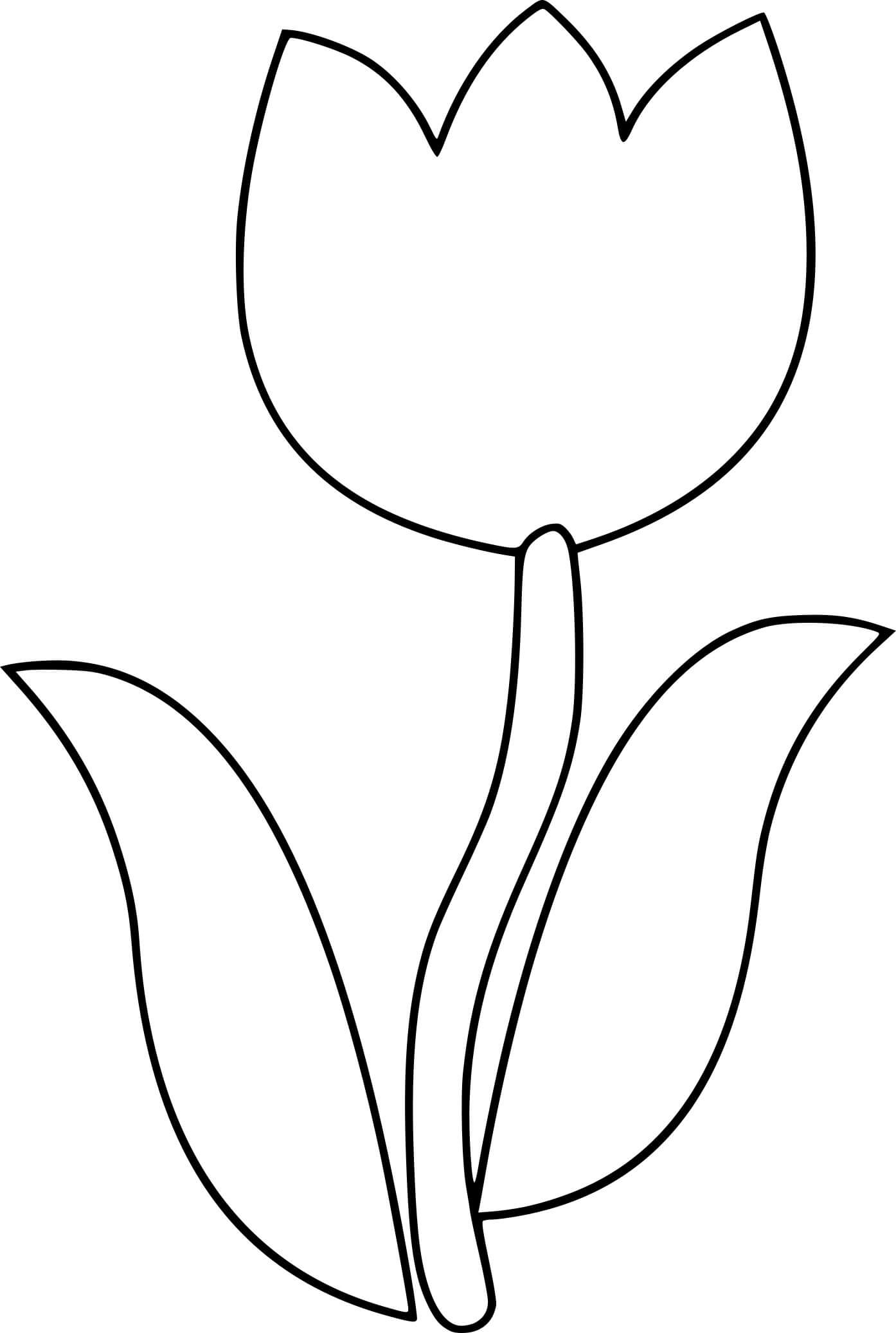 Coloriage Tulipe Maternelle Fleur Simple - Tulipe à imprimer