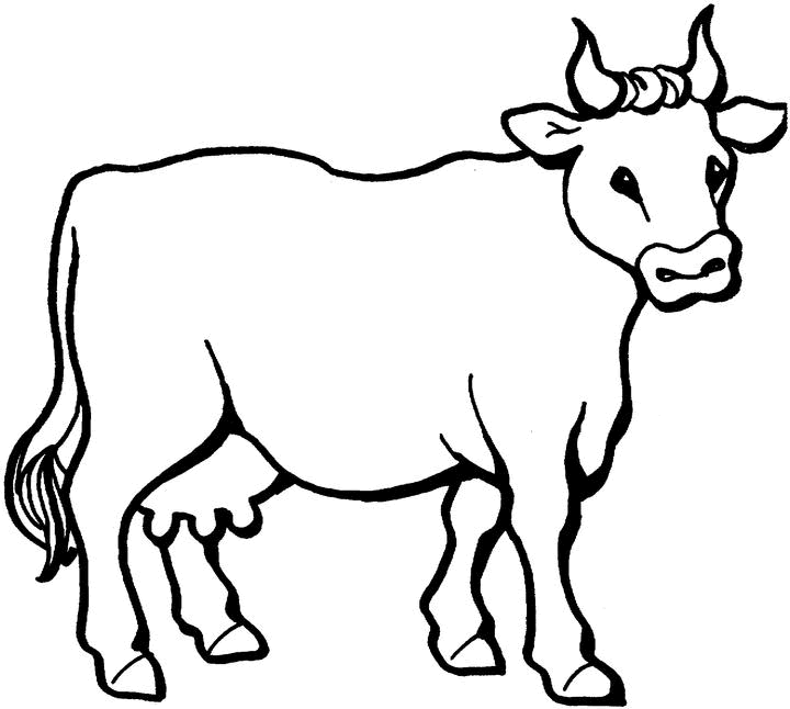 Coloriage Un Belle Vache - Animaux à imprimer
