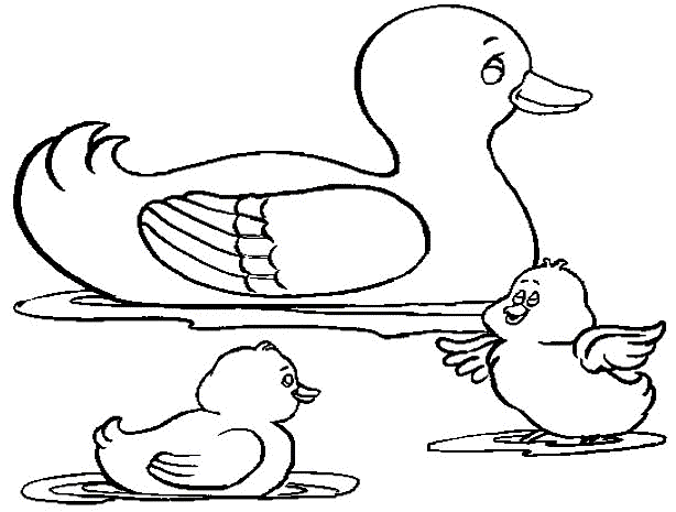 Coloriage Un Canard Avec Deux Canetons - Animaux à imprimer