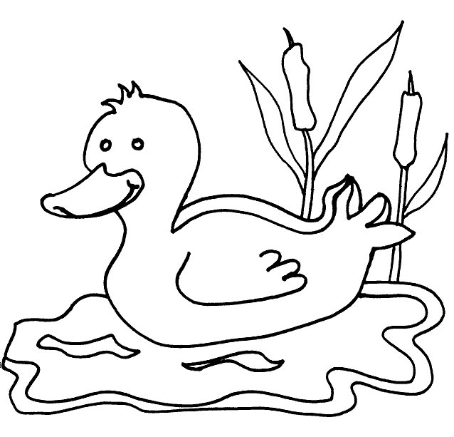 Coloriage Animaux
