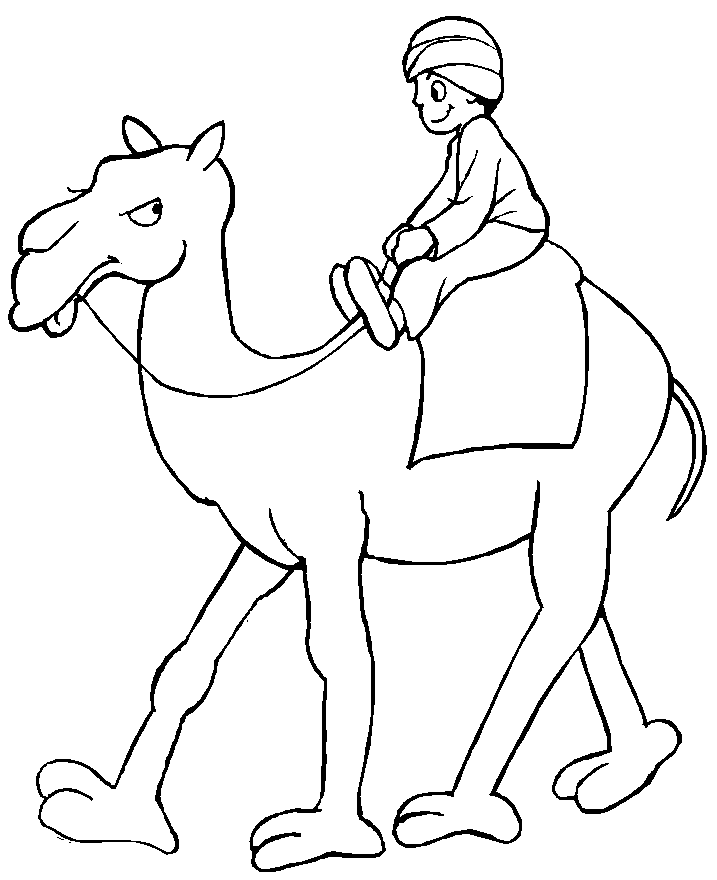 Coloriage Un Enfant Sur Le Dos D'Un Dromadaire - Animaux à imprimer