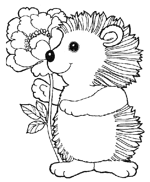 Coloriage Un Hérisson Avec Une Fleur - Hérisson à imprimer