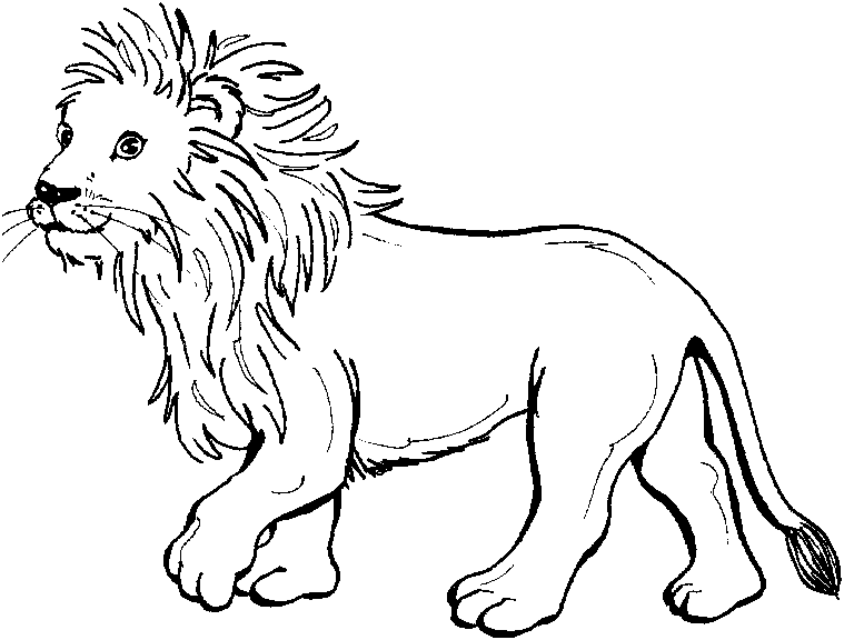 Coloriage Un Jeune Lionceau - Lion à imprimer