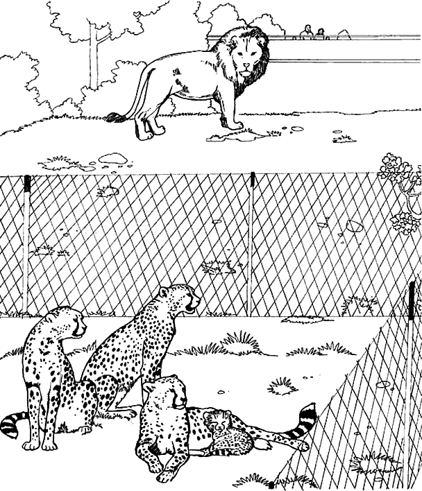 Coloriage Un Lion Avec Des Leoparda Au Zoo - Lion à imprimer