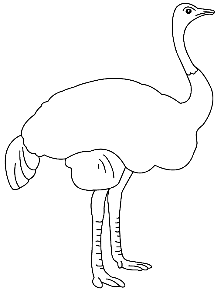 Coloriage Une Autruche A Colorier - Animaux à imprimer