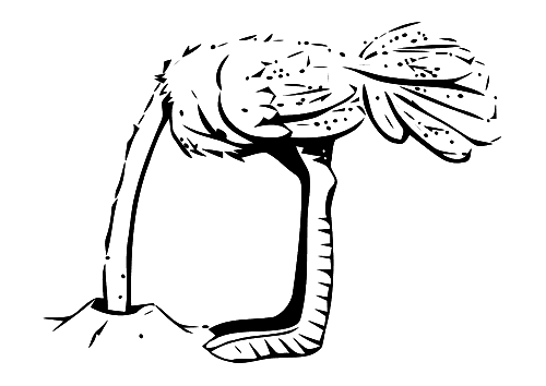 Coloriage Une Autruche Qui Se Cache Avec Sa Tête Dans Un Trou - Animaux à imprimer