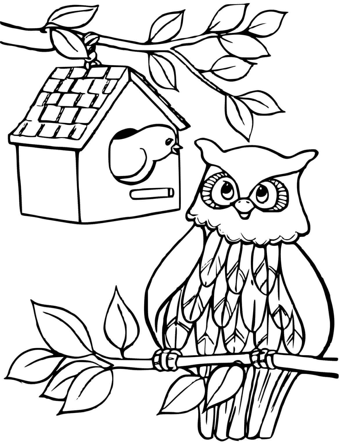 Coloriage Une Cabane A Oiseaux Et Un Chouette - Chouette à imprimer