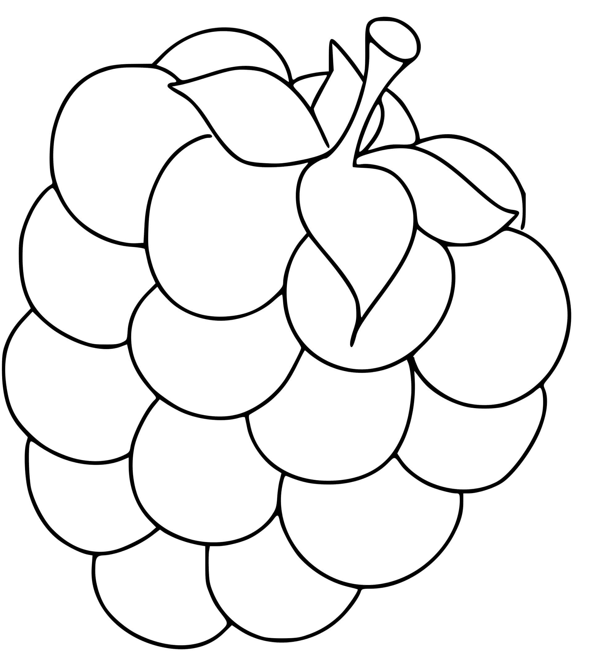 Coloriage Une Framboise - Maternelle à imprimer