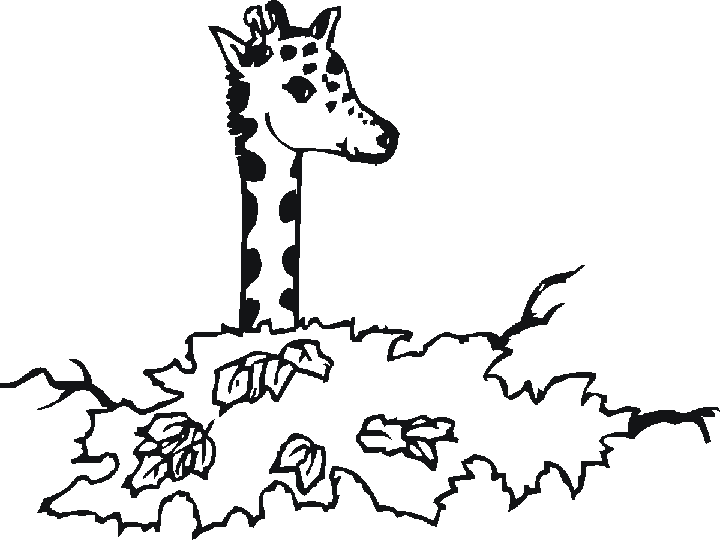 Coloriage Une Tête De Girafe Plus Haute Que Les Arbres - Arbre à imprimer