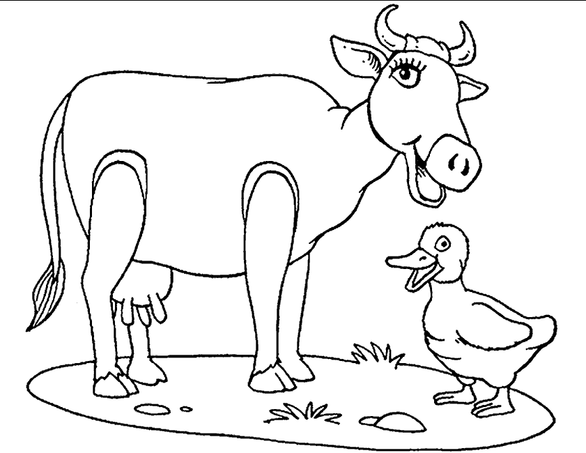 Coloriage Une Vache Avec Un Canard - Animaux à imprimer