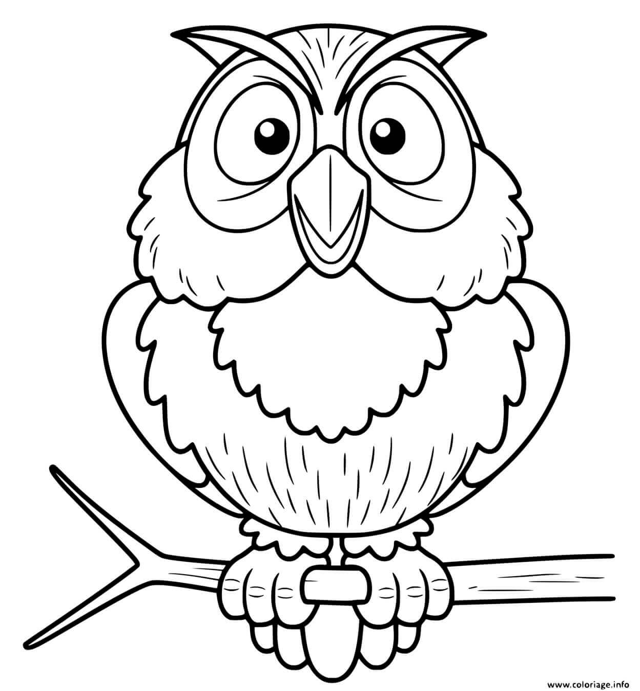 Coloriage Vieux Chouette Sur Un Arbre - Chouette à imprimer