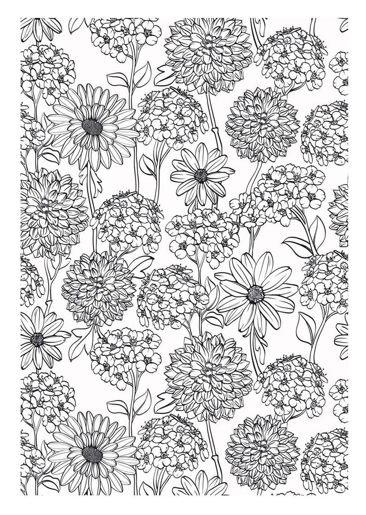 Coloriage Xxl Fleurs Tulipes Plantes - Xxl à imprimer