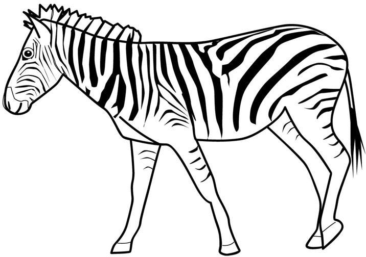 Coloriage Animaux