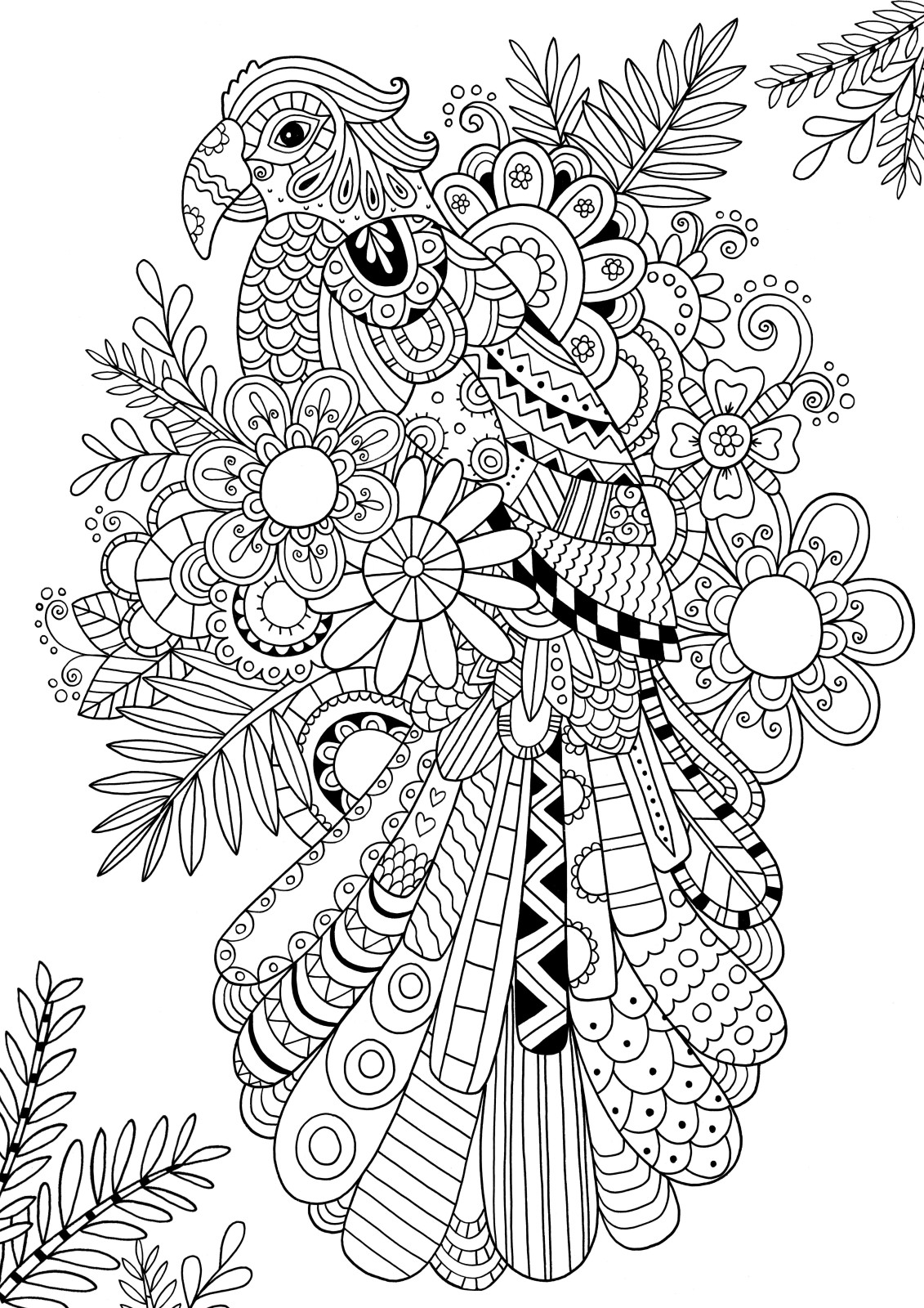 Coloriage Zentangle Parrot Adult - Adulte à imprimer