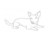 Coloriage chiot jack russel