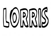 Coloriage Lorris