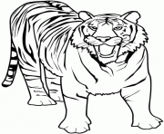 Coloriage dessin animaux tigre