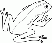 Coloriage dessin animaux grenouille