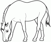 Coloriage dessin animaux cheval