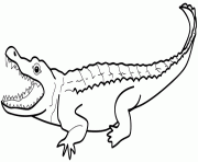 Coloriage dessin animaux crocodile