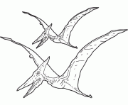 Coloriage dessin dinosaure Pterosauria