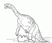 Coloriage dessin dinosaure plateosaure