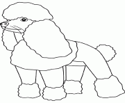Coloriage dessin chien caniche