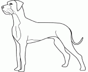 Coloriage dessin chien grand danois