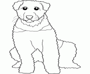 Coloriage dessin chien airedale