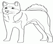 Coloriage dessin chien akita