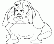 Coloriage dessin chien basset